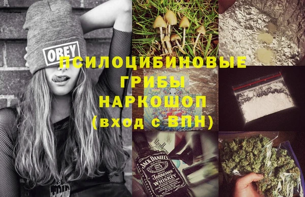 прущий лед Алексеевка