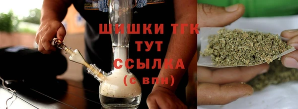 ешки Алзамай
