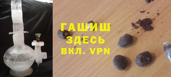 гашик Новозыбков