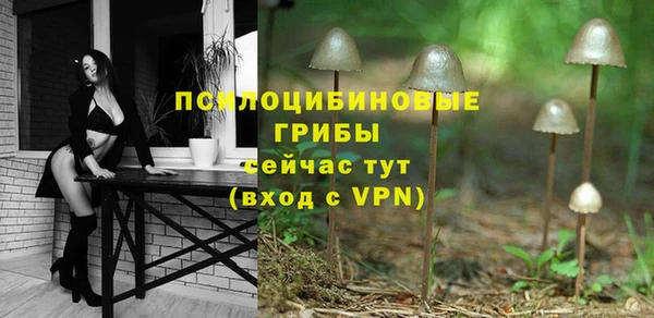 ешки Алзамай